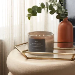 Threshold 9 14oz Lidded Gray Glass Jar Crackling Wooden 3-Wick Candle With Paper Label Black Cedar - Threshold™